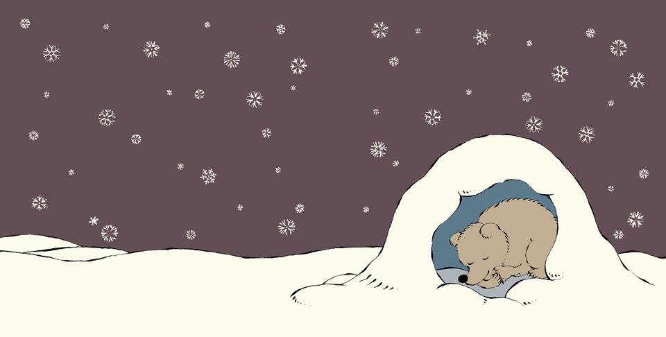Bear sleeping